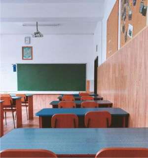 România îi cere Ucrainei să respecte dreptul minorităţii române la educaţie în limba maternă